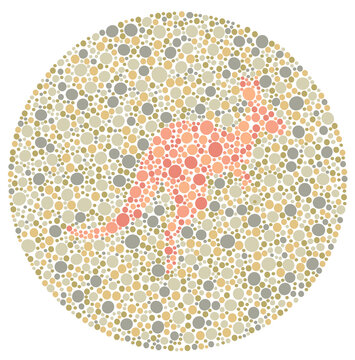 Pediatric Color Blind Test with Hidden Kangaroo Silhouette Among Polychromatic Dots

A professional medical vision plate featuring a kangaroo silhouette hidden within a mosaic of color