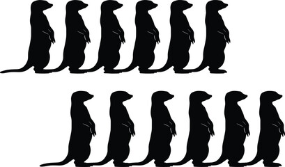 Silhouette meerkats standing upright, wildlife animals, group behavior, desert creatures, nature illustration, animal silhouettes, educational design, stock vector art © Its Saidul 