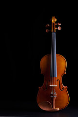 Elegant violin standing on black background