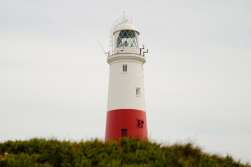 Red and white Portland Bill lighthouse rising above green coastal shrubs, Dorset England