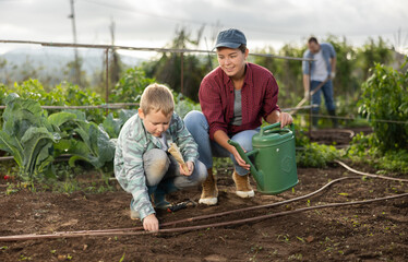 Fototapeta premium Woman and her son are planting seeds on a farm. Guy helps a female farmer plant seeds. Process of planting seeds in the ground