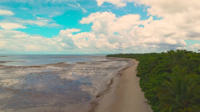 Aerial drone view of tropical coastline and rainforest at Boipeba Island Bahia Brazil