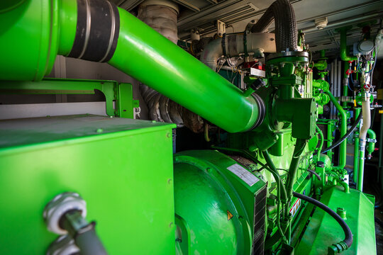 Industrial biogas generator for cogeneration power plant.