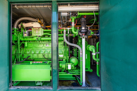 Industrial biogas generator for cogeneration power plant.