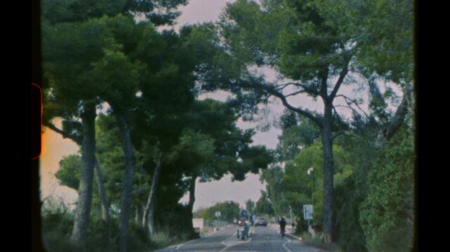 Driving view of a tree lined road captured on analog super 8 film with frame border
