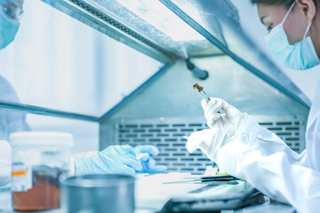 pathologist preparing tissue biopsy sample for microscope slide. Medical scientist analyzing...