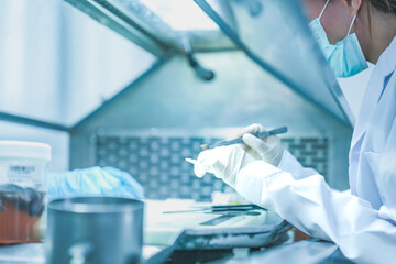 Fototapeta premium Forensic science inspecting biological evidence with tweezers carefully. Lab technician analyzing dna sample data in sterile facility. Scientist conducting experiment in pharmaceutical laboratory.