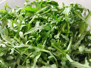 Fototapeta premium Arugula healthy nutritional raw salad leafy vegetable. Arugula is a mustard family plant. Arugula leaves salad vegetable, and flavor ingredient as healthy nutritional cuisine. 