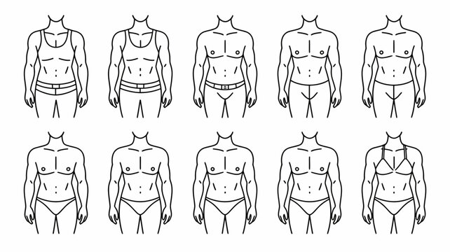 A series of line drawings depict various human body types showcasing differences in torso shape muscle definition and waistlines high quality professional detailed modern elegant stylish