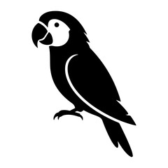 Fototapeta premium A minimalist black silhouette of a colorful macaw parrot perched facing slightly to the left
