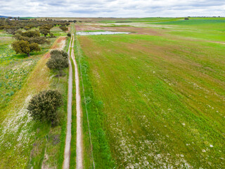 Agricultural landscape of meadow and pastures with rural track and pond: farm management and biodiversity in the primary sector. © Ivanb
