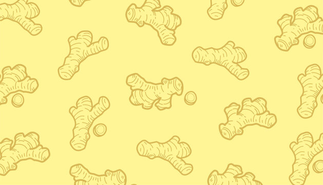 Doodle Ginger Pattern. Ginger Root seamless pattern. Hand Drawn Botanical Rhizome Illustration. Vintage Monochrome Spice Doodle. Repeating Culinary Ingredient Background. 