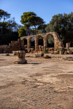Ancient Mosaic Floor of the Basilica of Saint Salsa, Tipasa