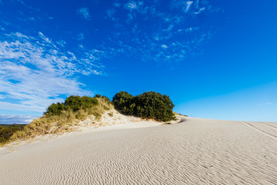 The popular Henty Dunes near St Strahan in Tasmania, Australia