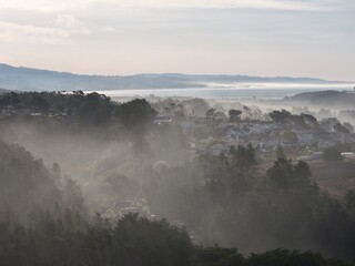 Misty Pacific coastline with waves, forested cliffs and coastal road with construction vehicles and houses. g.