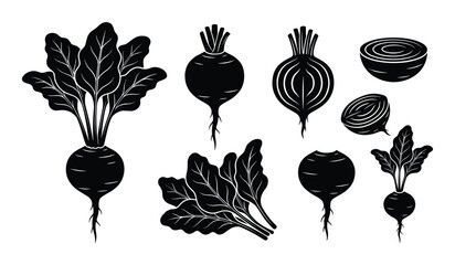 Beetroot silhouettes and sliced segments collection for organic vegetable design elements