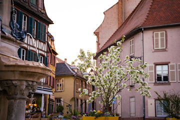 Fototapeta premium Colmar Alsace France Travel Photography