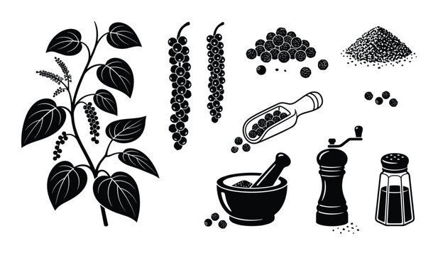 Black pepper plant and peppercorn spice icons set on transparent background