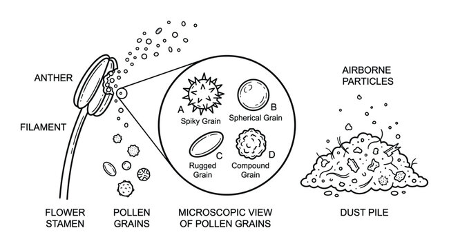 Pollen grain microscopic view and anther filament of flower stamen dust pile