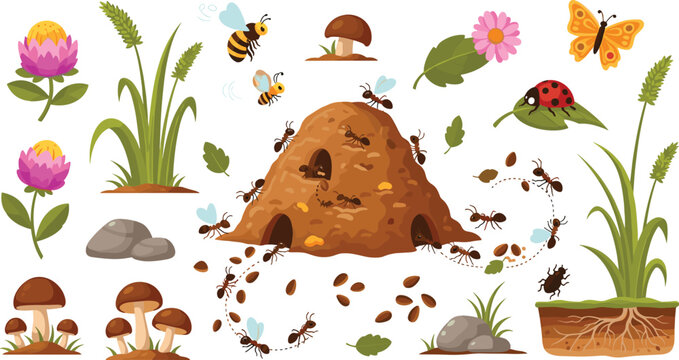 Cute insect vector illustration set with anthill colony ants bees ladybug butterfly mushrooms and garden plants isolated on white background for children.Cute insect vector illustration set with anthi