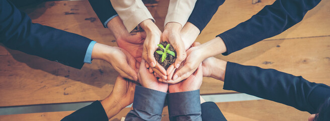 Banner Green business hands partners holding small tree plant eco company. Hand together trust mission team green hands stacked. Banner sustainable collaborate business green company with copy space