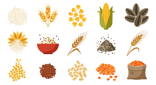 Various grains and seeds isolated on white