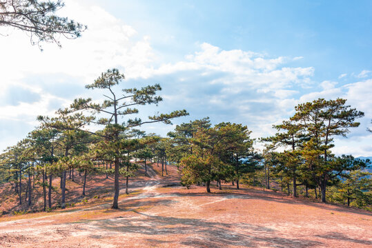 Landscape at Mang Lin,  Da Lat City, Vietnam