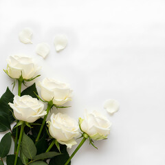 Fototapeta premium Elegant White Roses with Green Stems and Scattered Petals on White Background.