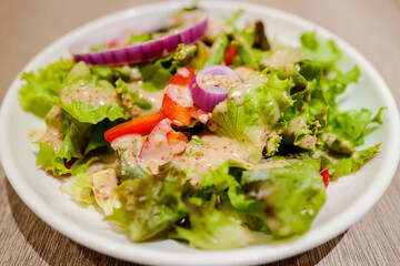 Fresh Green Garden Salad with Sesame Dressing and Red Onion Rings. A vibrant and healthy mixed green salad served in a white bowl.