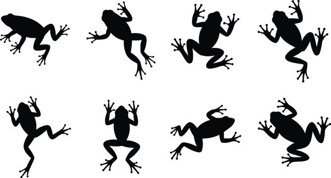 Tree frog silhouette set collection isolated vector illustration showing climbing frogs in different poses amphibian wildlife black design