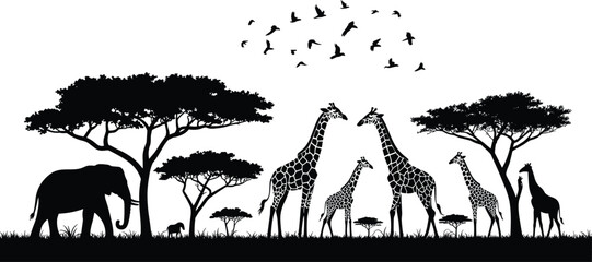 African safari wildlife silhouette landscape with elephants giraffes acacia trees and flying birds in savanna nature vector illustration © PROTAP