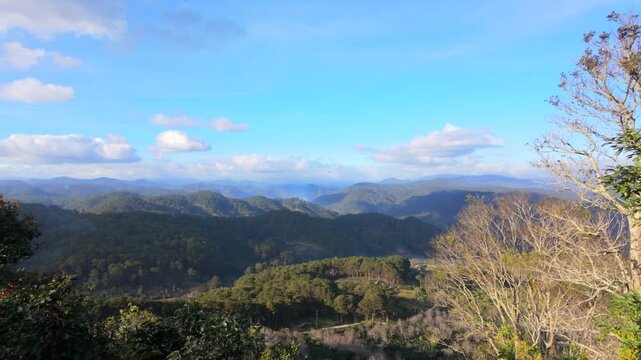 An aerial view of a serene valley with lush green pine forests and majestic mountains. Tea Hill, Da Lat, Vietnam.