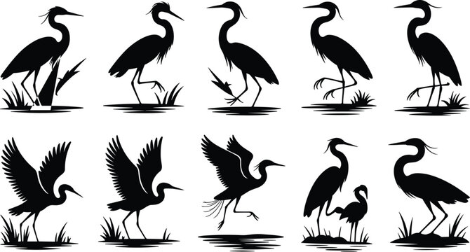 Heron bird silhouette set, egret wading bird vector collection, flying and standing water bird silhouettes isolated nature wildlife illustration