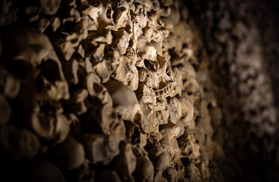 Close-up skull in ossuary bone wall, shallow depth of field, catacombs