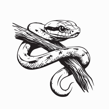 Snake with Big Eyes Sitting on Tree Branch Vector Illustration