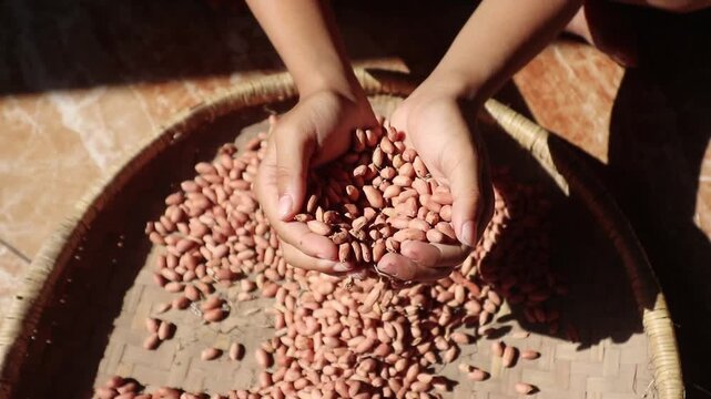 Hand holding peanuts on a bamboo tray.
