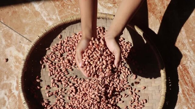 Hand holding peanuts on a bamboo tray.