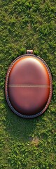 Leather-bound oval shape lying flat on grassy terrain, rugby, oval