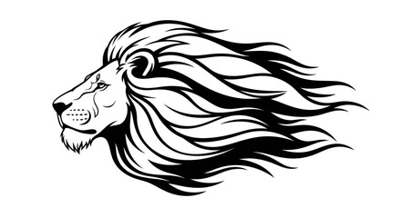 Profile of a majestic lion head with flowing mane isolated on white © Zero