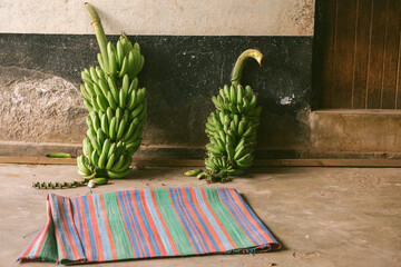 green bananas neare the wall © Maria