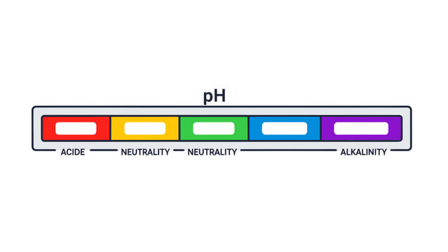 pH Scale Color Bar Mockup Template for Acidity, Neutrality, and Alkalinity Measurement - Blank Copy Space for Text and Design