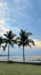 Fototapeta premium Beachside view with coconut palm trees swaying by the shore, clear sky and ocean creating a relaxing tropical coastal atmosphere perfect for travel escape.