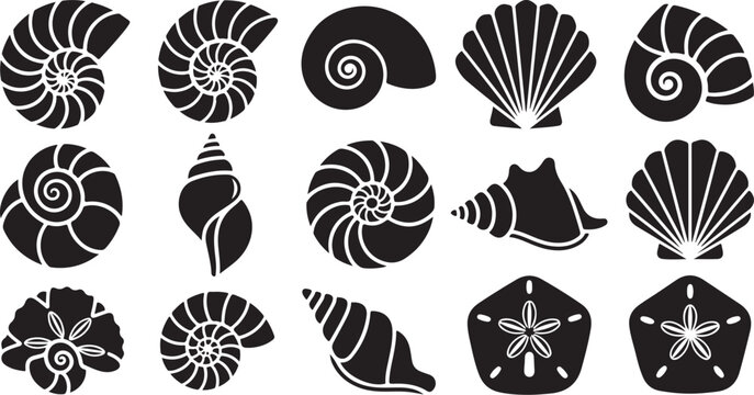 Collection of various seashell silhouettes on white background