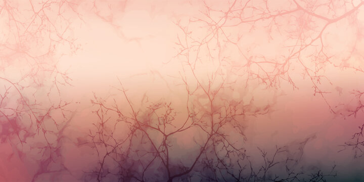 Bare tree branches silhouetted against a soft gradient sky.