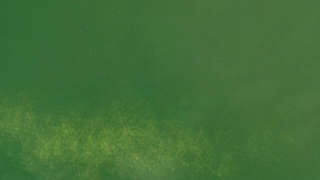 Dust Particles on Green Screen - Atmospheric Animation, The video element of on a green screen background, Ultra High Definition, 4k video, on a green screen background.