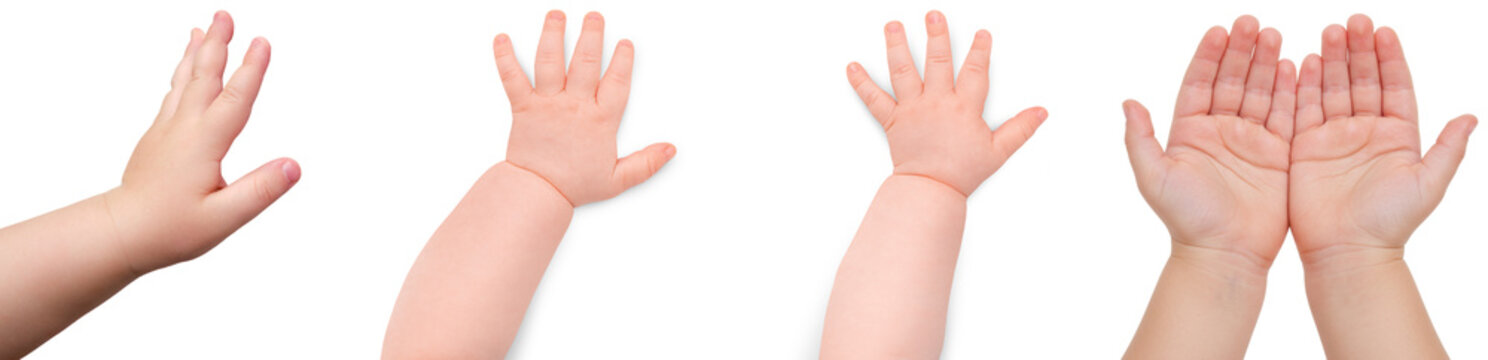 A set of adorable baby hands and arms in various poses, showcasing innocence and tenderness.
