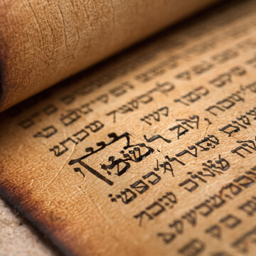 Macro ancient aged sheepskin parchment with hebrew script