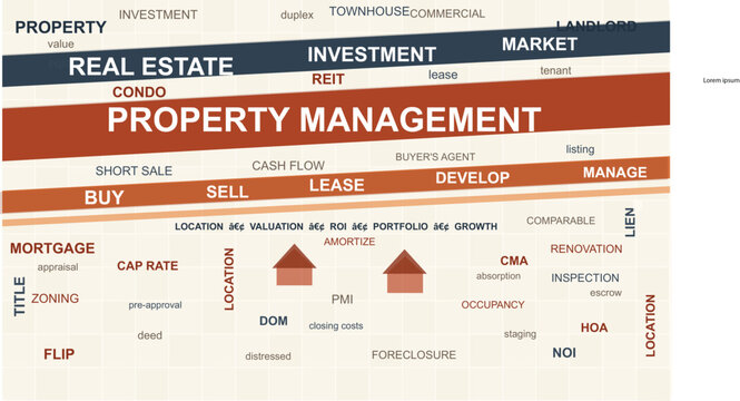 Property Management Infographic: A visually engaging infographic presents key terms associated with real estate investment and property management.