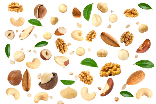 Assorted Mixed Nuts Collection Isolated on White Background