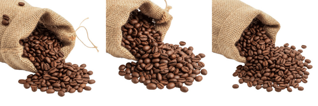 Roasted coffee beans spilling out of burlap jute sack isolated on white background, group of falling aromatic dark coffee beans from rustic bag